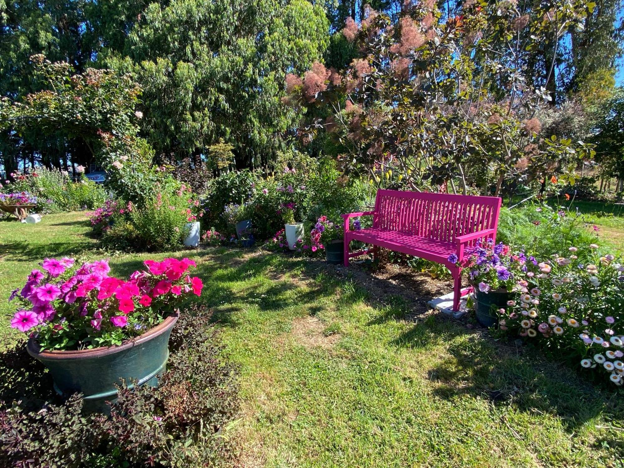 Korimako'S Nest Garden Studio Carterton Extérieur photo